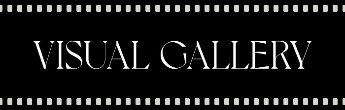 VISUAL GALLERY